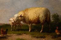 Sheep and Chickens