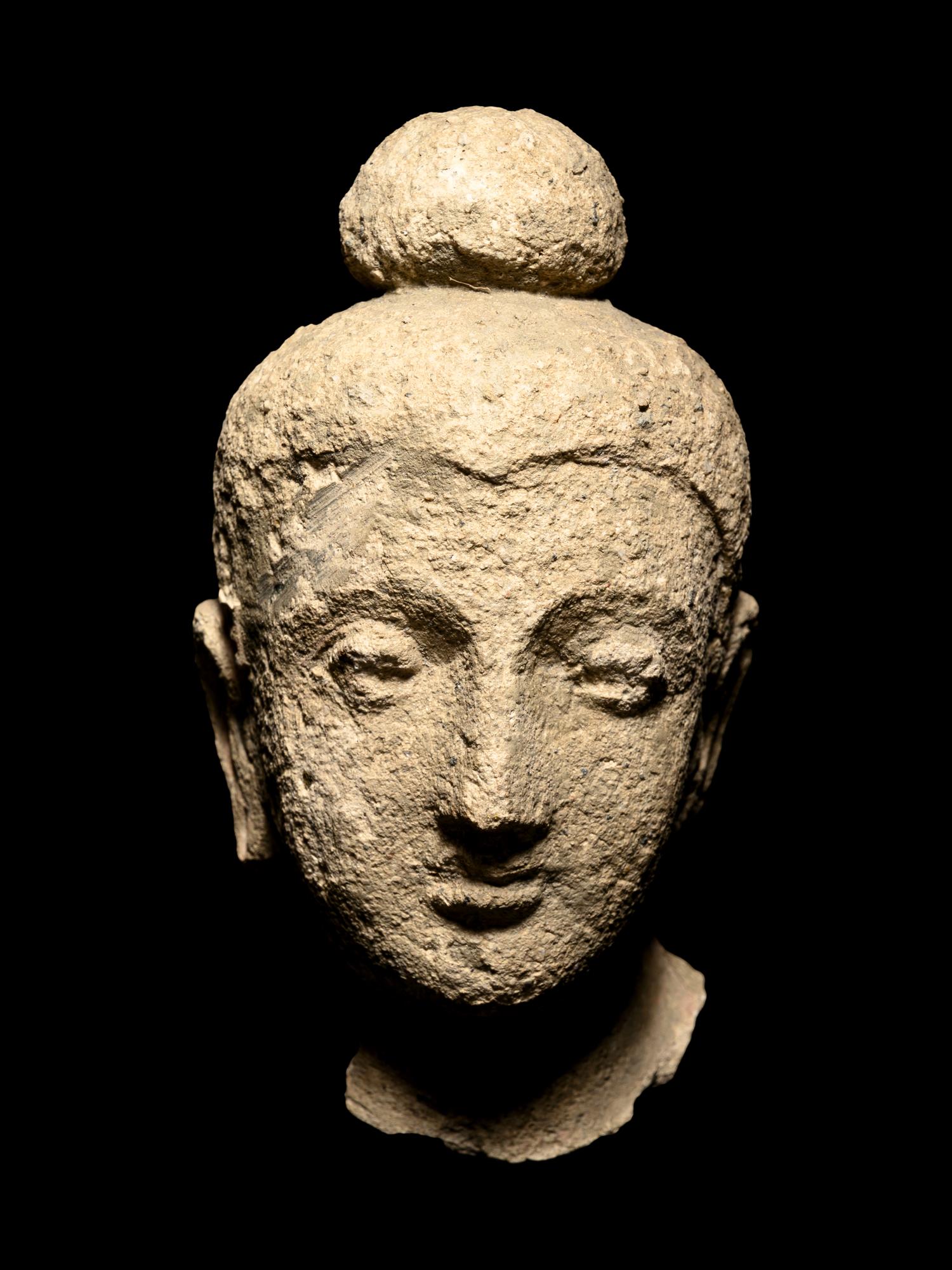 Two Gandharan Fragmentary Stucco Heads