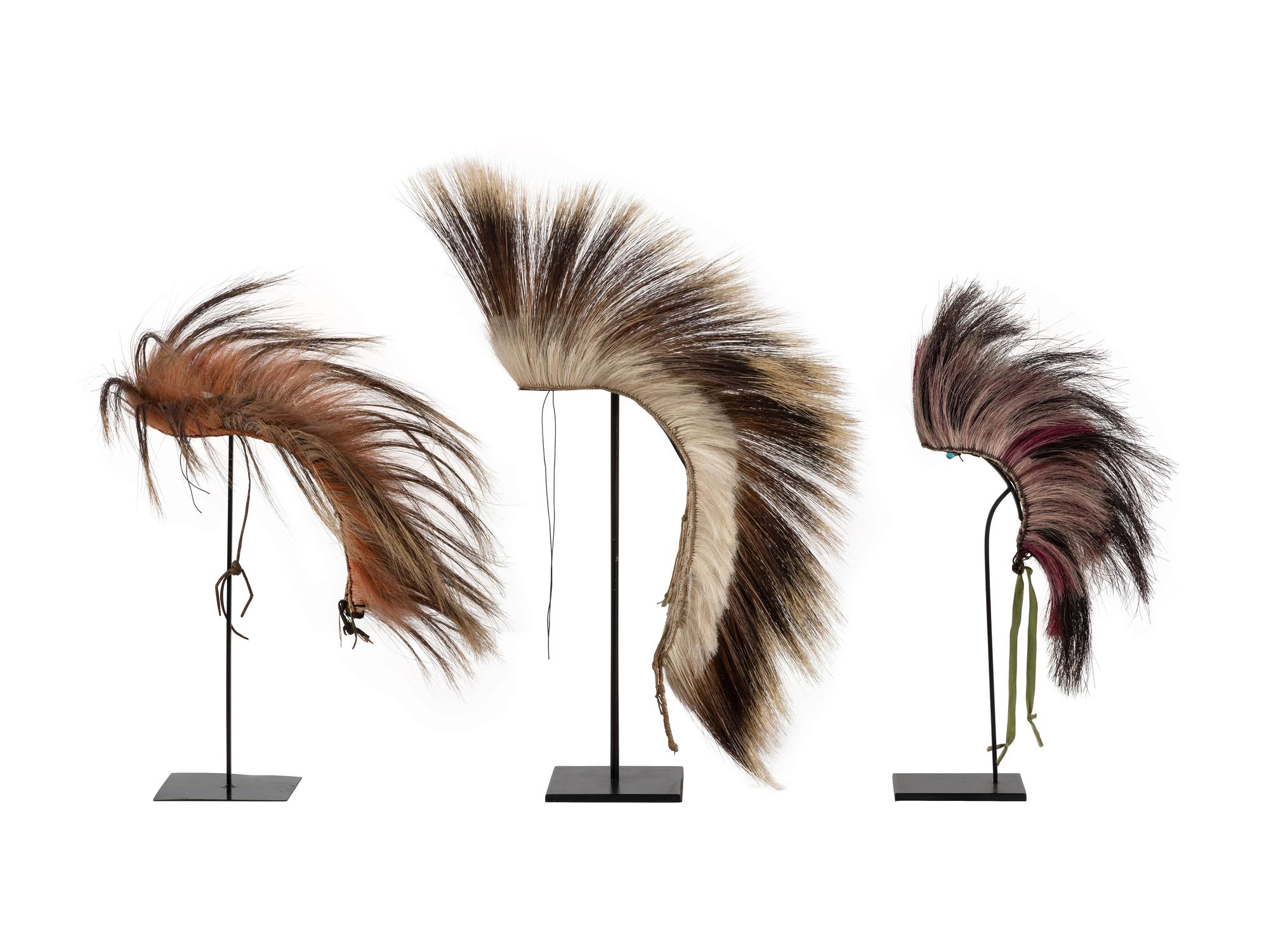 Plains Hair Roaches