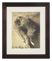 Hystrix Cristata, The 9th Instance of April 1890, 1991