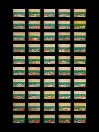A Near Set of 1954 Topps Baseball Cards (245/250)