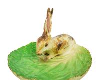 An Early Dodie Thayer Lettuce and Rabbit Plate