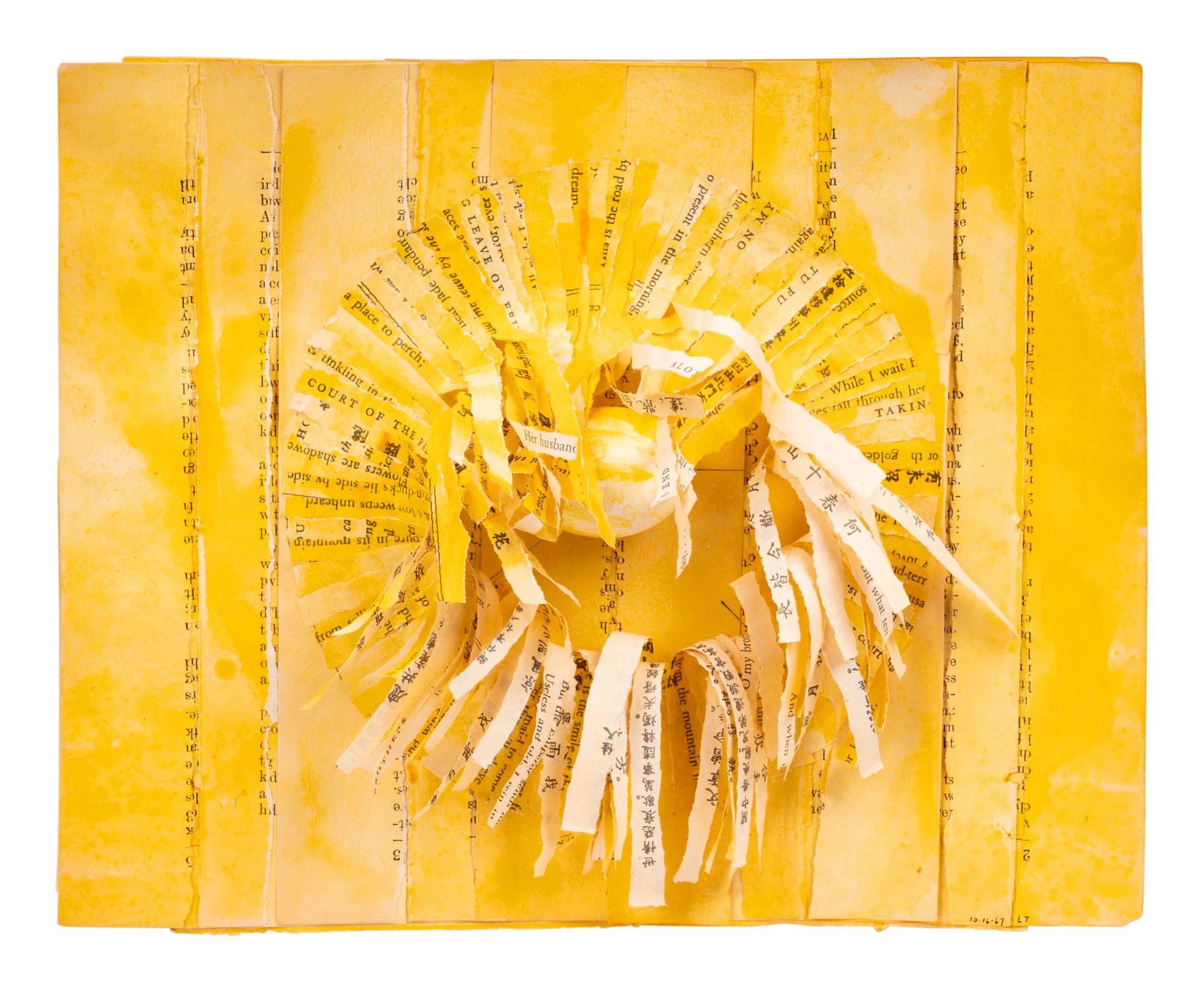 The Radiant White Dove