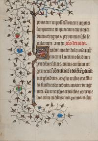 [MANUSCRIPT LEAVES -- BIBLES]. A group of 3 manuscript leaves on vellum, matted together, comprising:
