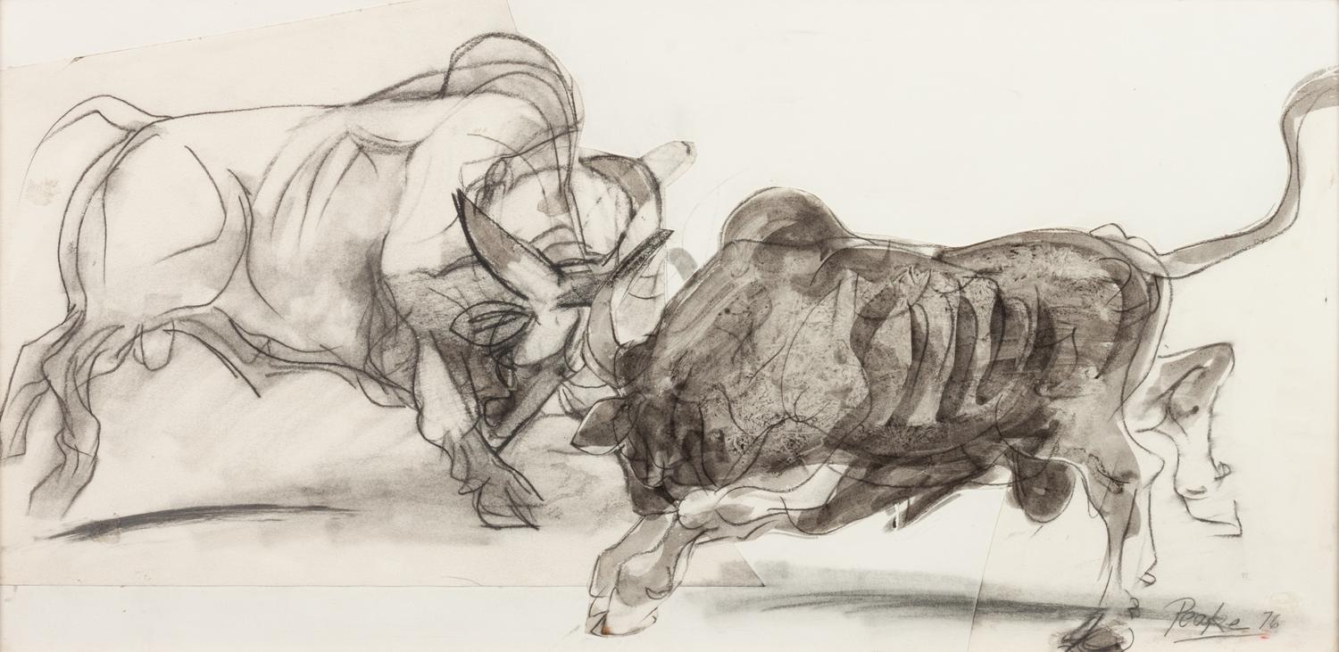 Two Drawings: Nearly Busted and Fighting Bulls