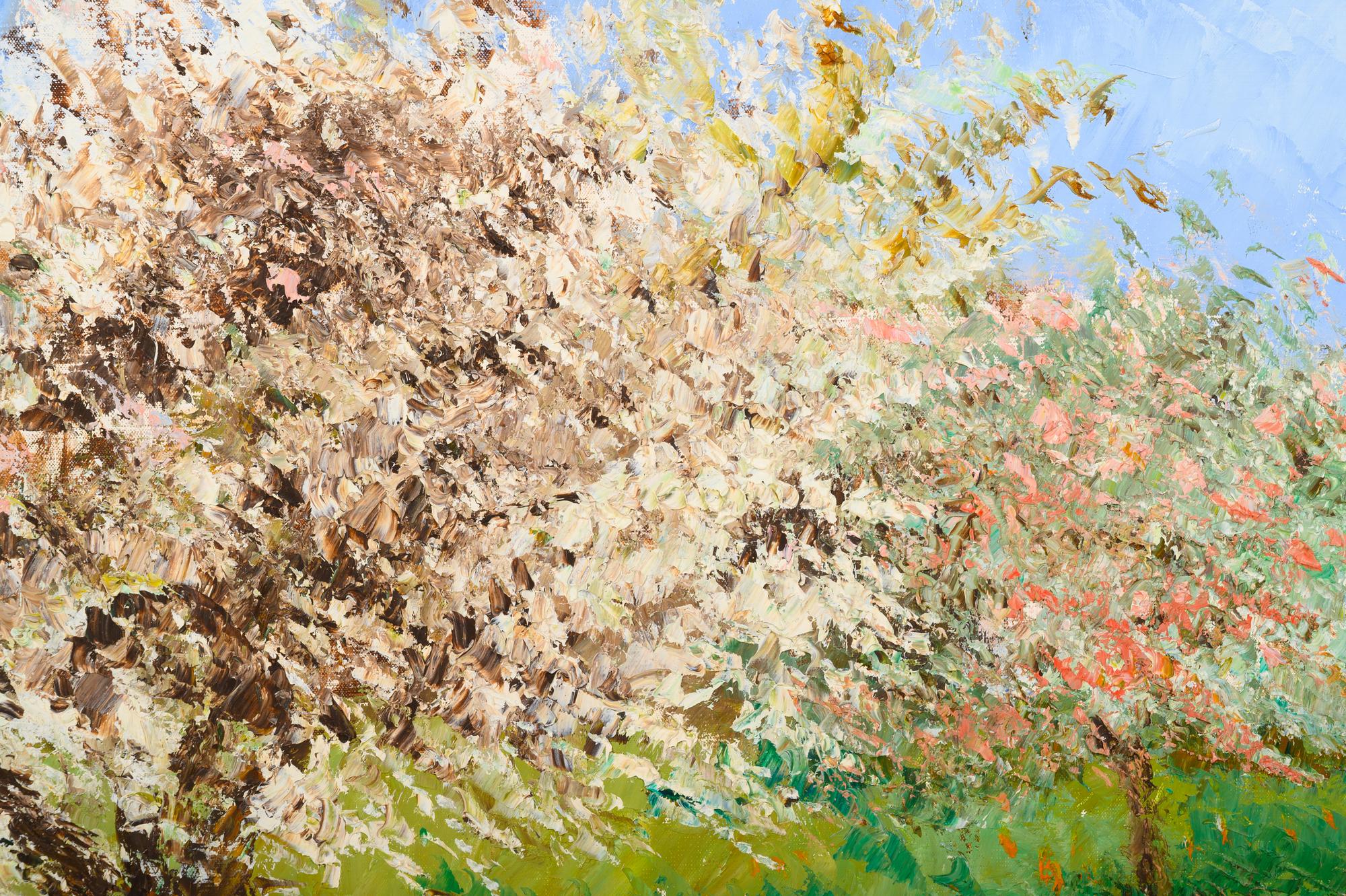 Pommier en fleurs