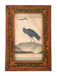 Twelve French Hand-Colored Bird Engravings — Designed and Engraved by Francois Nicolas Martinet (1731-1804); From Histoire Naturelle des Oiseaux by George-Louis Marie Leclere, Comte de Buffon; Printed at the Imprimerie Royale, 1770-1786
