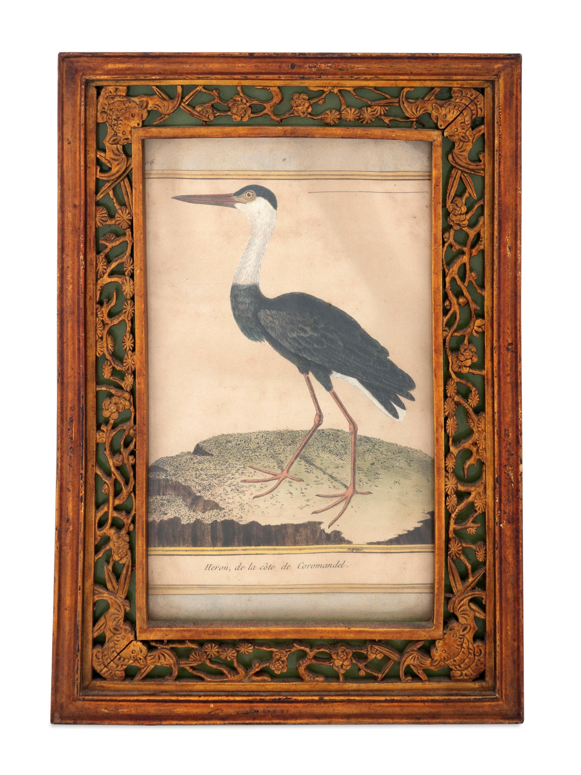 Twelve French Hand-Colored Bird Engravings — Designed and Engraved by Francois Nicolas Martinet (1731-1804); From Histoire Naturelle des Oiseaux by George-Louis Marie Leclere, Comte de Buffon; Printed at the Imprimerie Royale, 1770-1786
