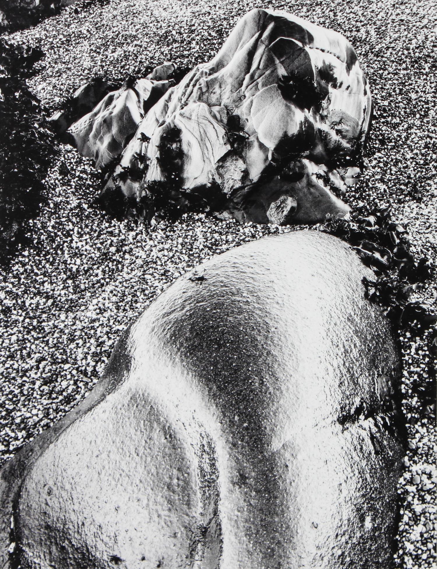 Barnbaum, Bruce (American, b. 1943) 13 1/4 x 9 7/8 inches.