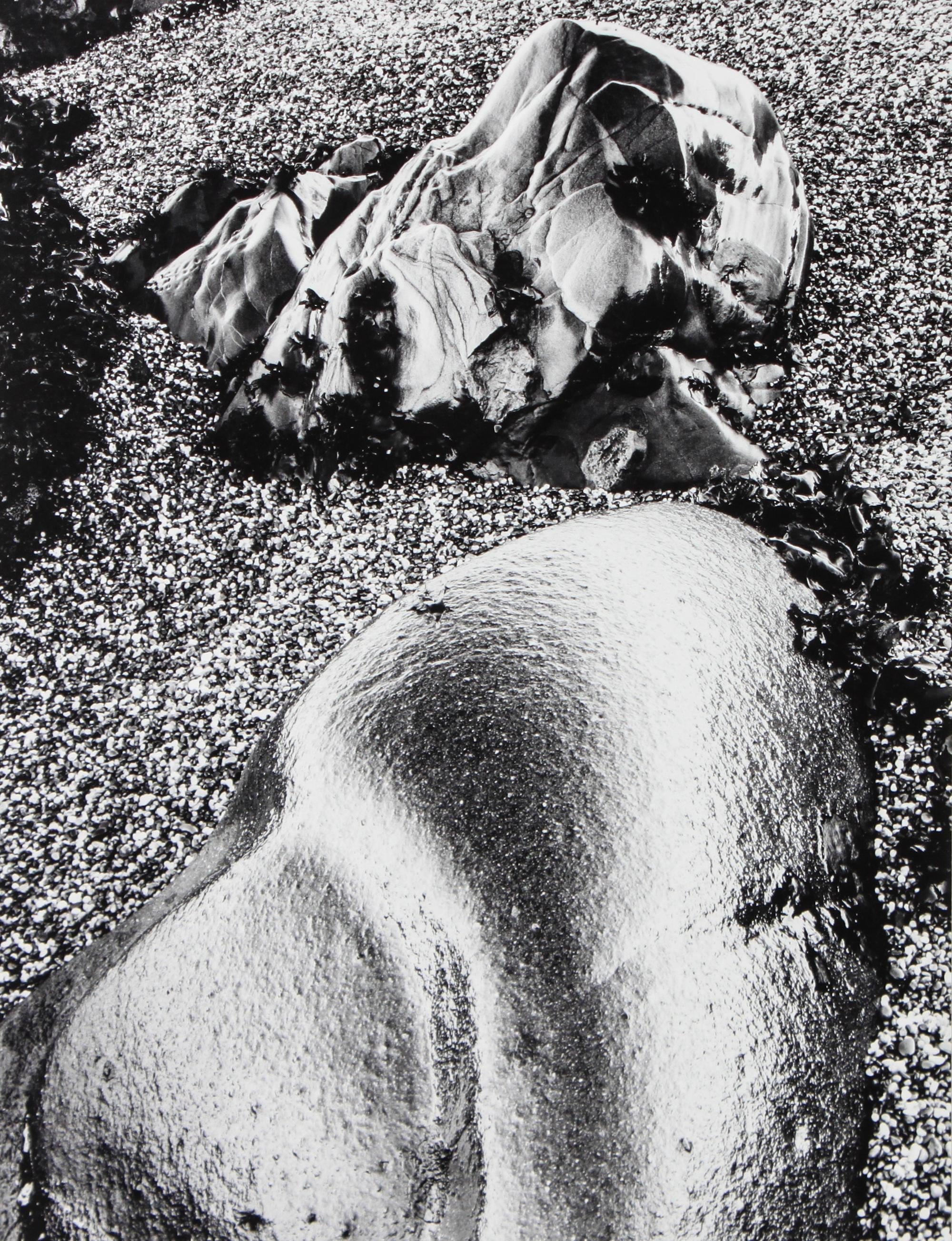 Barnbaum, Bruce (American, b. 1943) 13 1/4 x 9 7/8 inches.