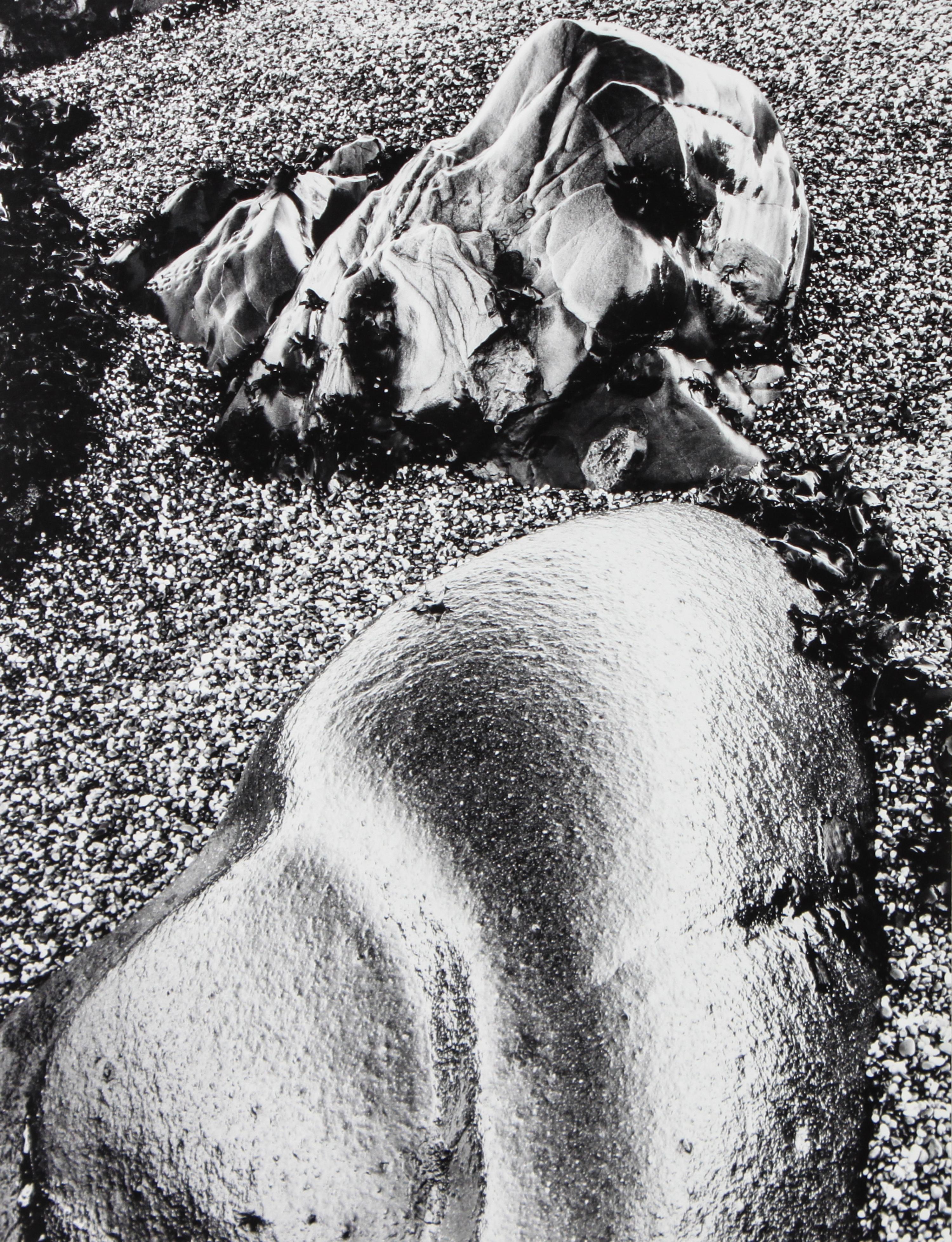 Barnbaum, Bruce (American, b. 1943) 13 1/4 x 9 7/8 inches.