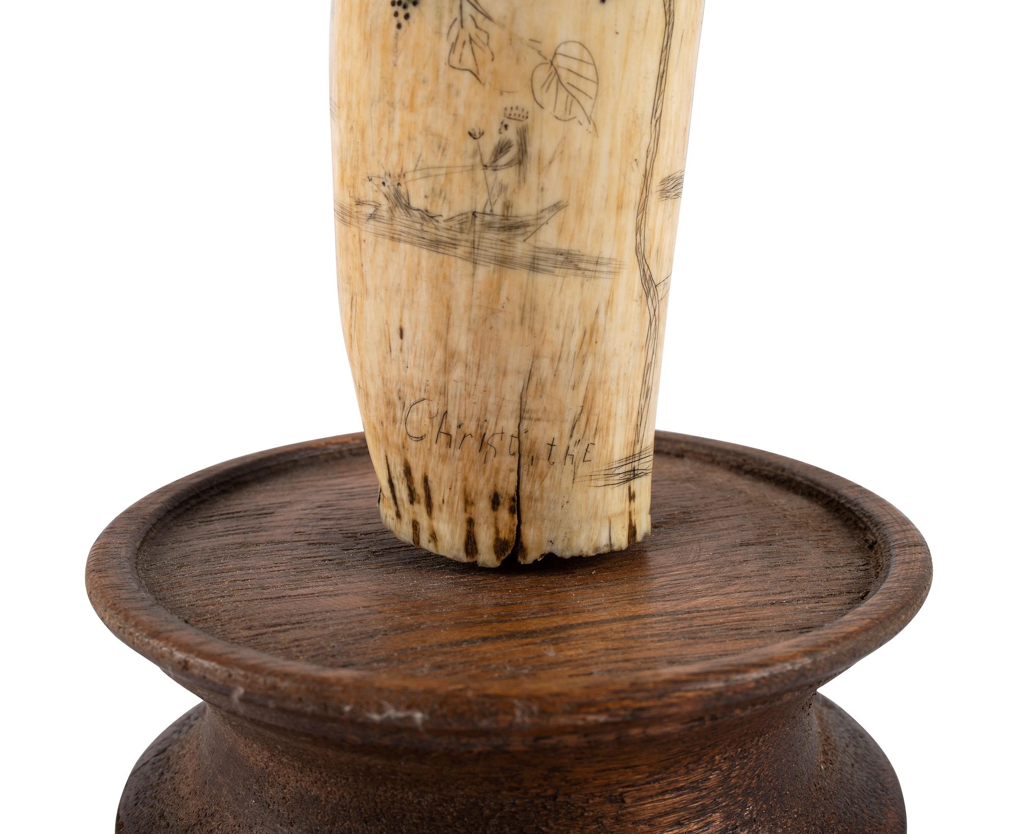 A Scrimshaw Whale's Tooth