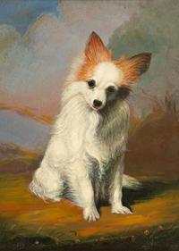 Seated Terrier