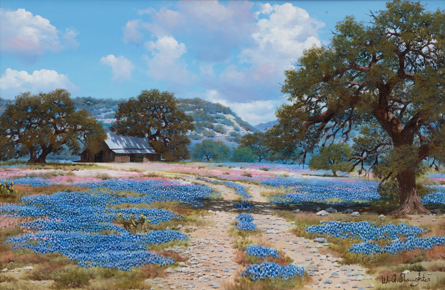 Hill Country Spring