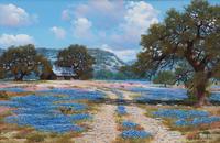 Hill Country Spring