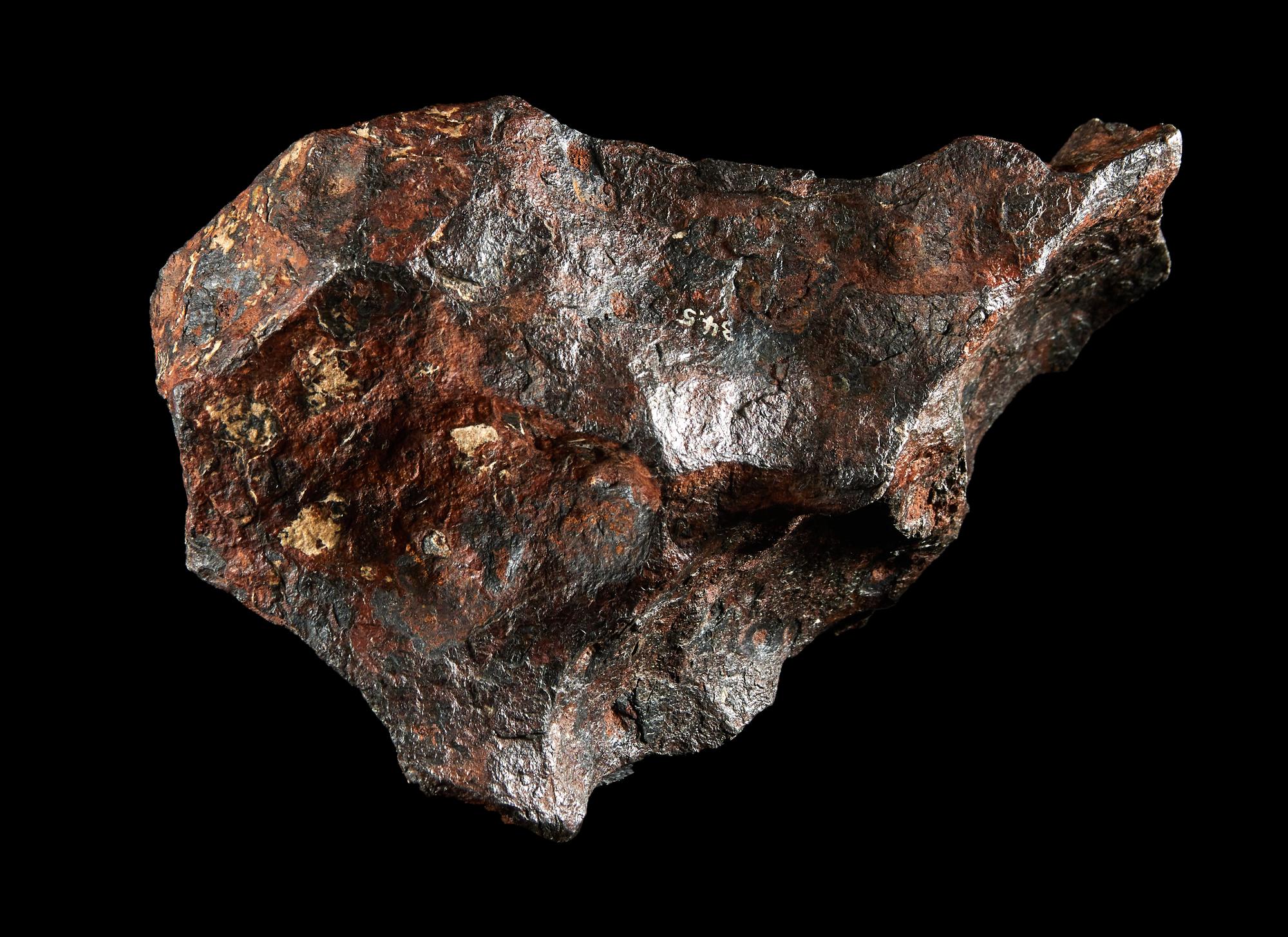 An Octahedrite Meteorite Fragment