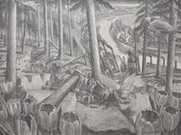 View from the Forest , 2005