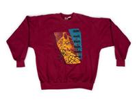 A Group of Vintage 1990s Unworn Nike Air Jordan Clothing,