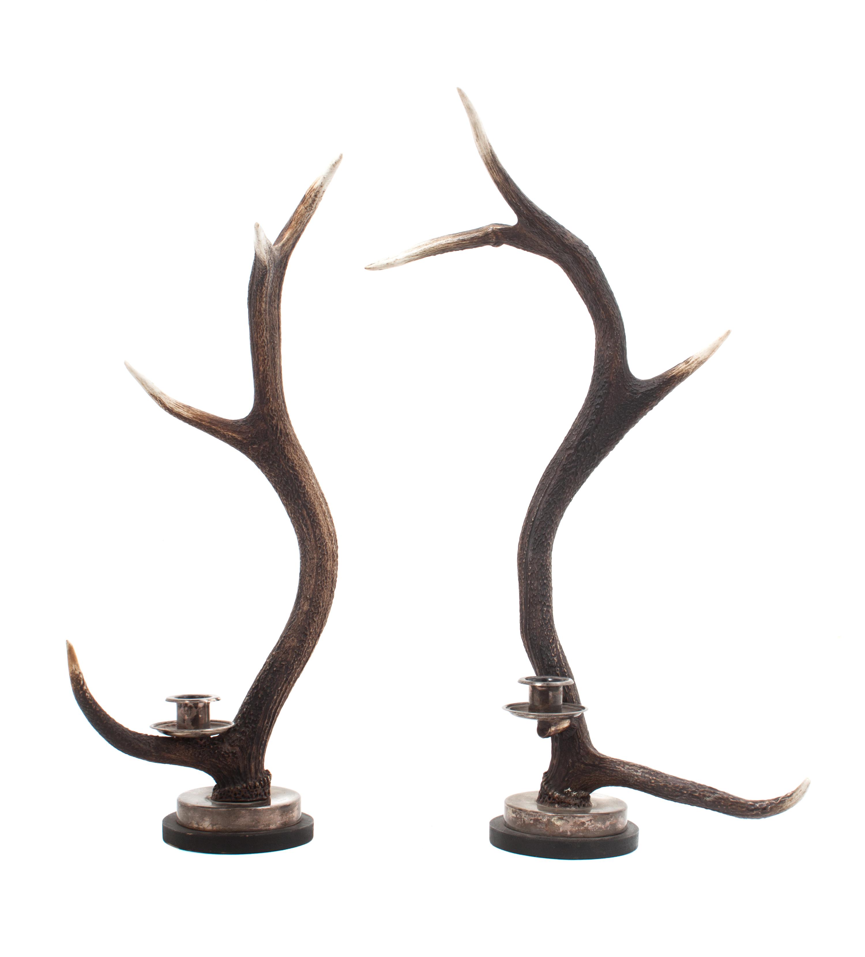 Two English Stag Horn Candlesticks Height of taller 24 inches. — ANTHONY REDMILE