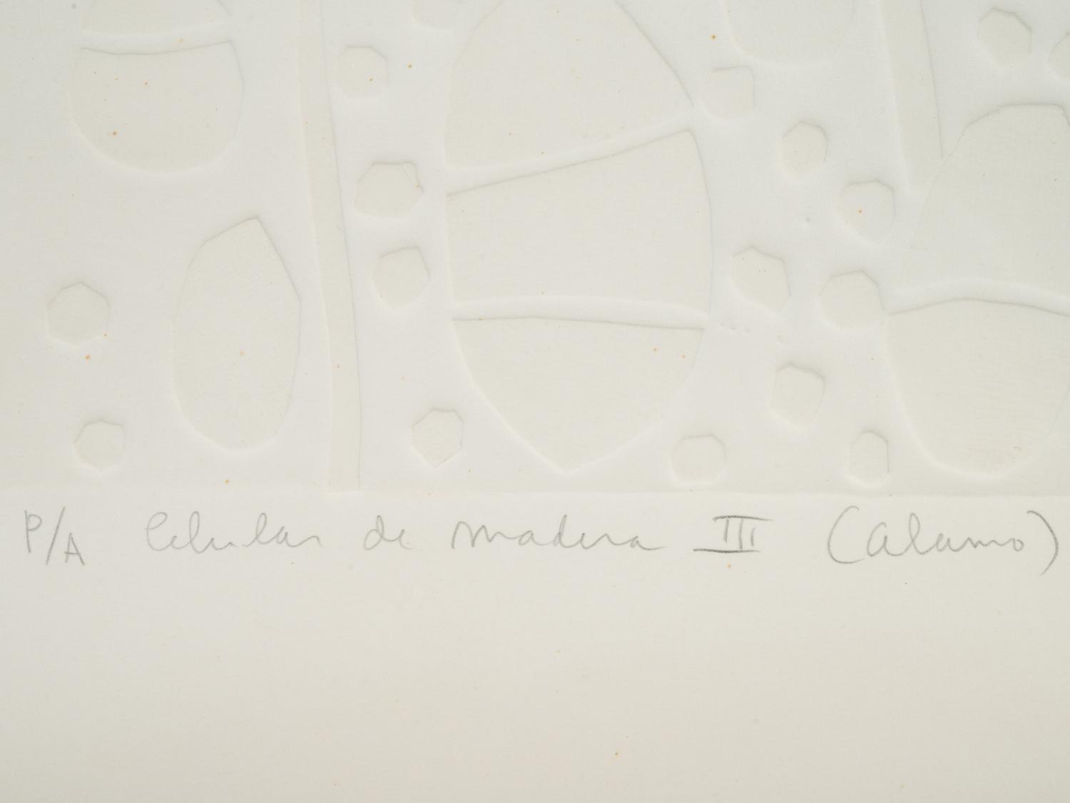 Celula de Madera III (Alamo)