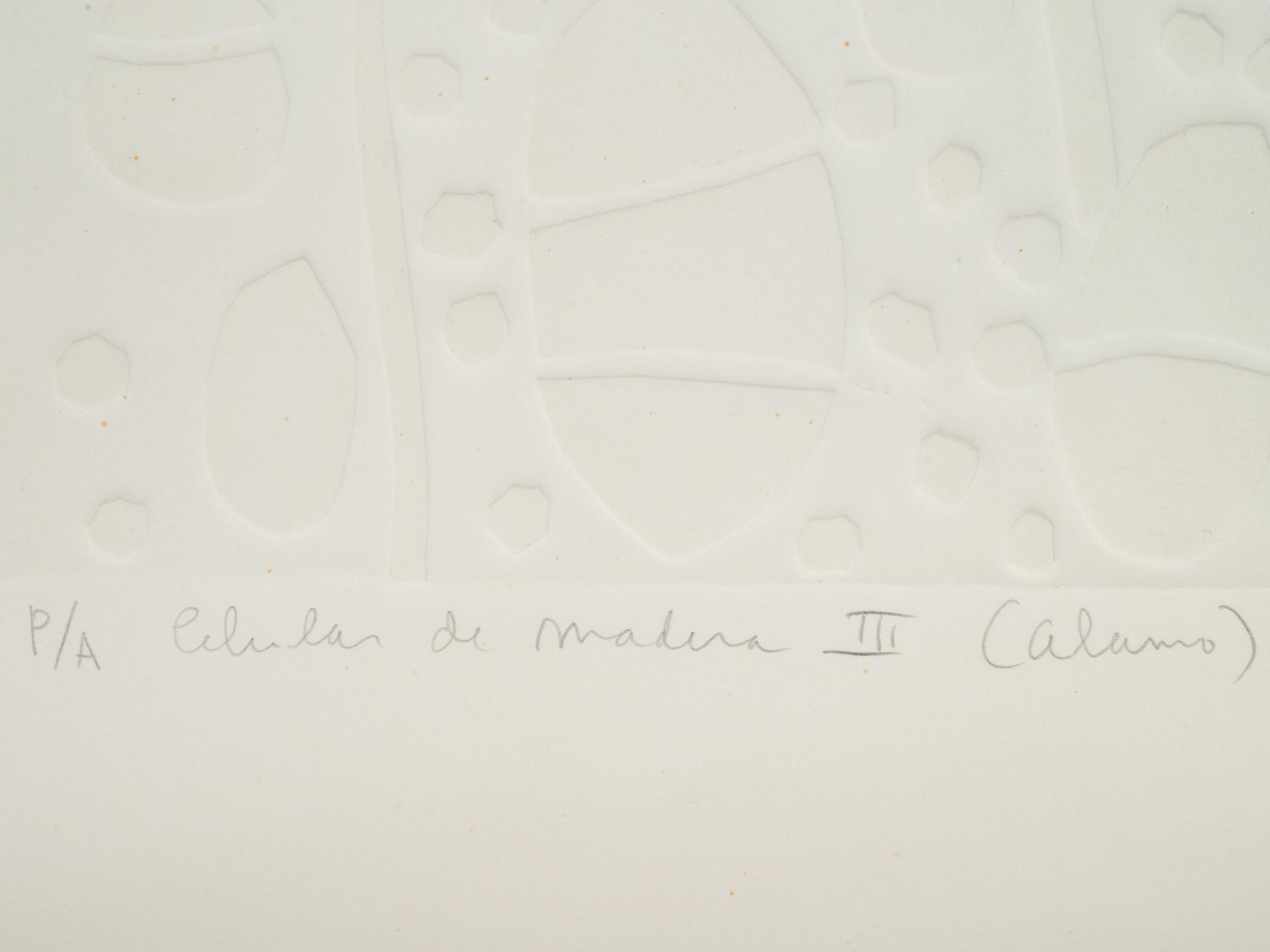 Celula de Madera III (Alamo)