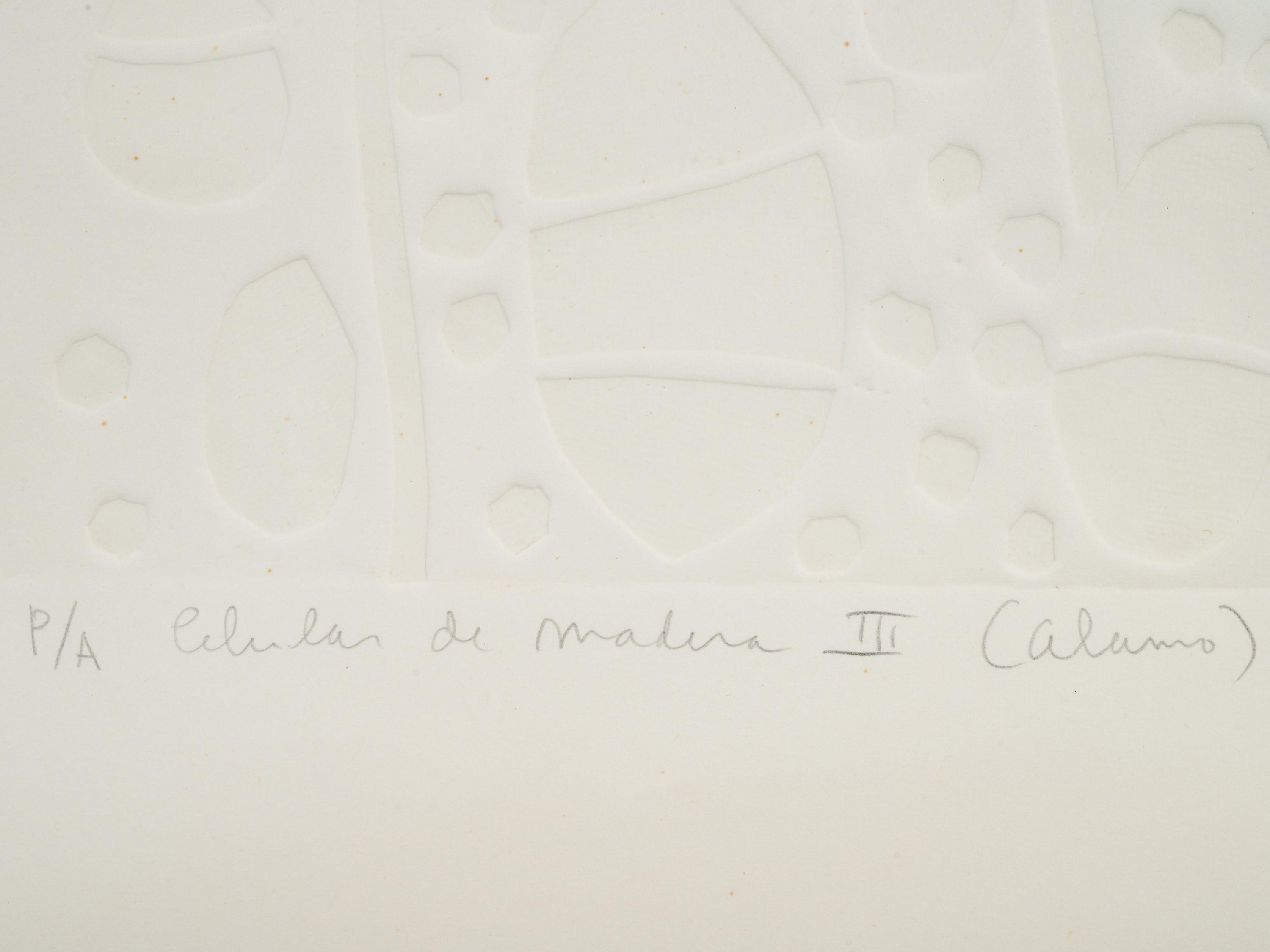 Celula de Madera III (Alamo)