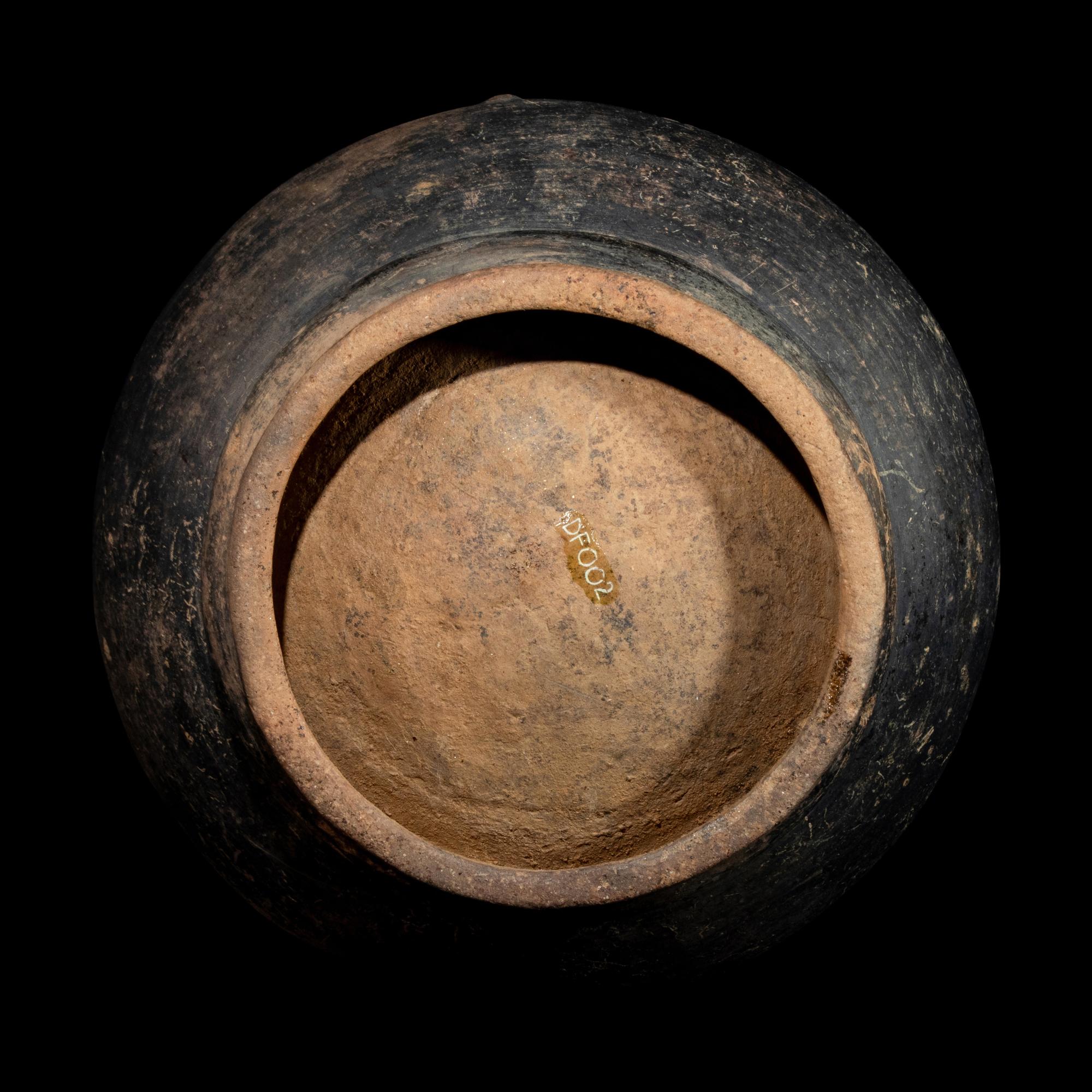 A Tairona Blackware Effigy Vessel