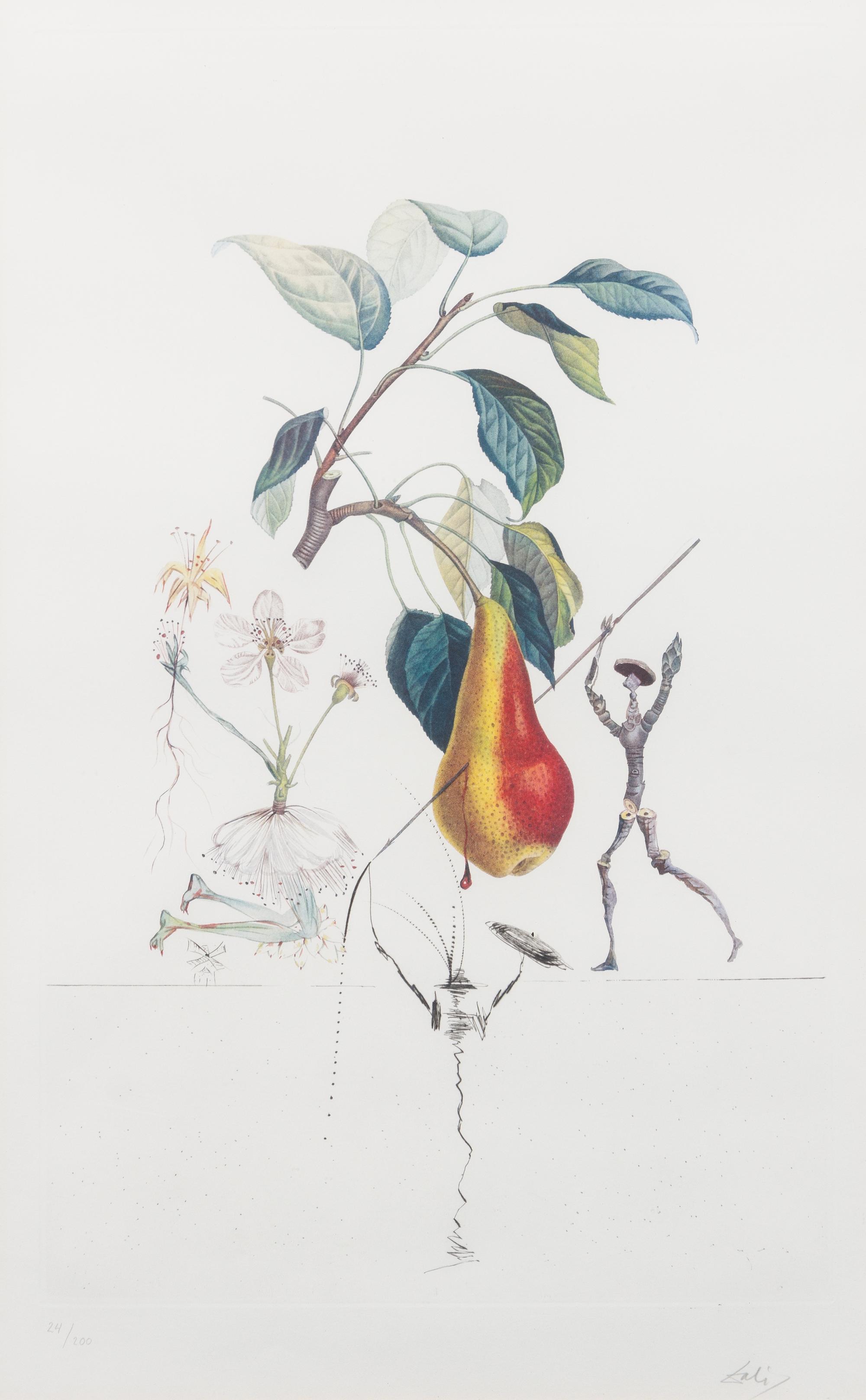 Salvador Dali