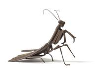 A Japanese Silver Articulated Model of a Praying Mantis MEIJI -TAISHO PERIOD, EARLY 20TH CENTURY Length 4 inches. — MEIJI-TAISHO PERIOD, EARLY 20TH CENTURY
