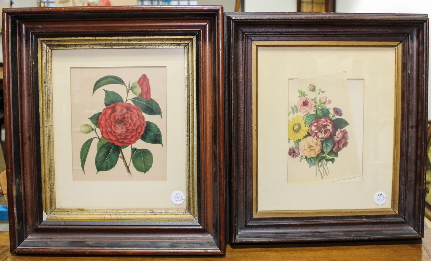 An Assembled Set of Four Botanical Prints Largest: 8 1/2 x 7 inches. — 19TH/20TH CENTURY