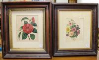 An Assembled Set of Four Botanical Prints Largest: 8 1/2 x 7 inches. — 19TH/20TH CENTURY
