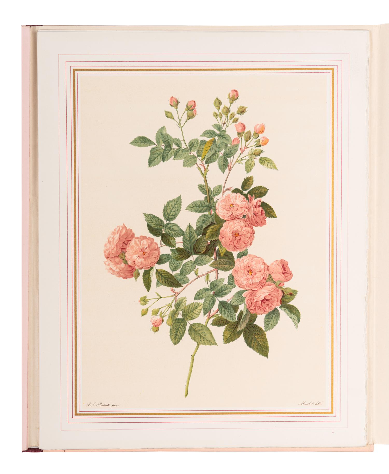 [REDOUTÉ Pierre-Joseph (1759-1840)]. VAUDOYER Jean-Louis (1883-1963). Choix des plus Belles Roses . Paris: [Librairie Denis et al], 1938.