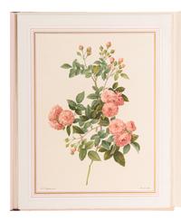 [REDOUTÉ Pierre-Joseph (1759-1840)]. VAUDOYER Jean-Louis (1883-1963). Choix des plus Belles Roses . Paris: [Librairie Denis et al], 1938.