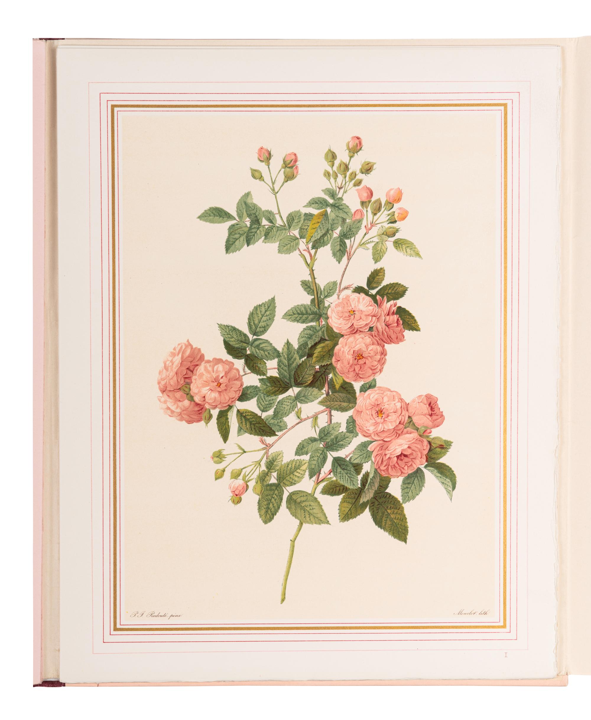 [REDOUTÉ Pierre-Joseph (1759-1840)]. VAUDOYER Jean-Louis (1883-1963). Choix des plus Belles Roses . Paris: [Librairie Denis et al], 1938.