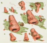 Noses