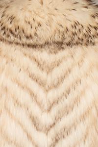 Two Fur Coats; One Badger, One Mink, 1980-2000s