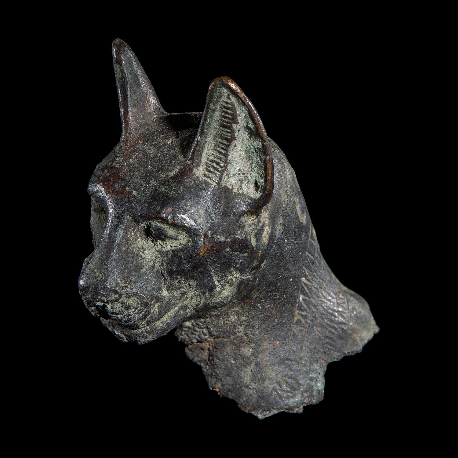 An Egyptian Bronze Head of a Cat