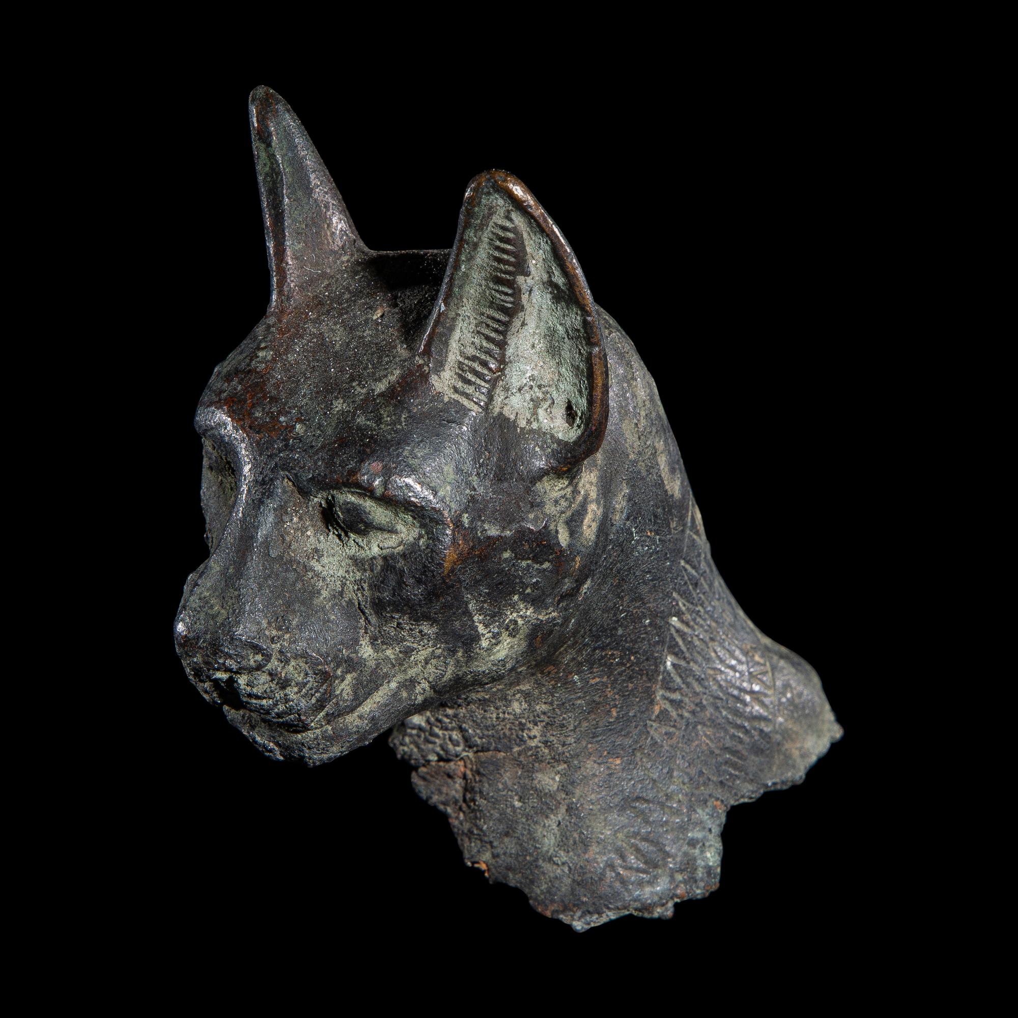 An Egyptian Bronze Head of a Cat