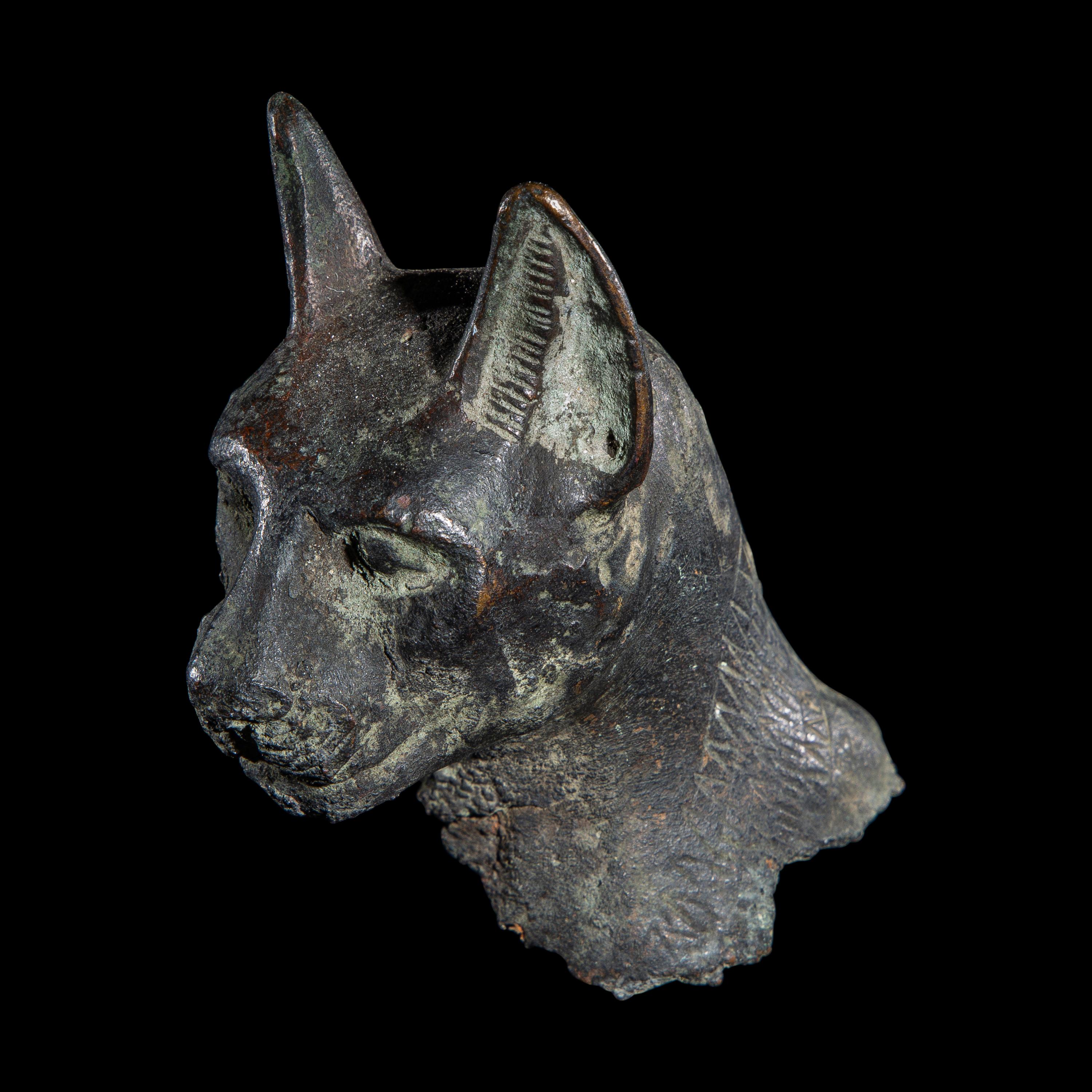 An Egyptian Bronze Head of a Cat