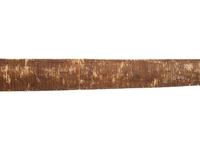 Nez Perce Bow