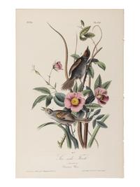 AUDUBON, John James (1785-1851), after. A group of 190 octavo-format lithographs, including: