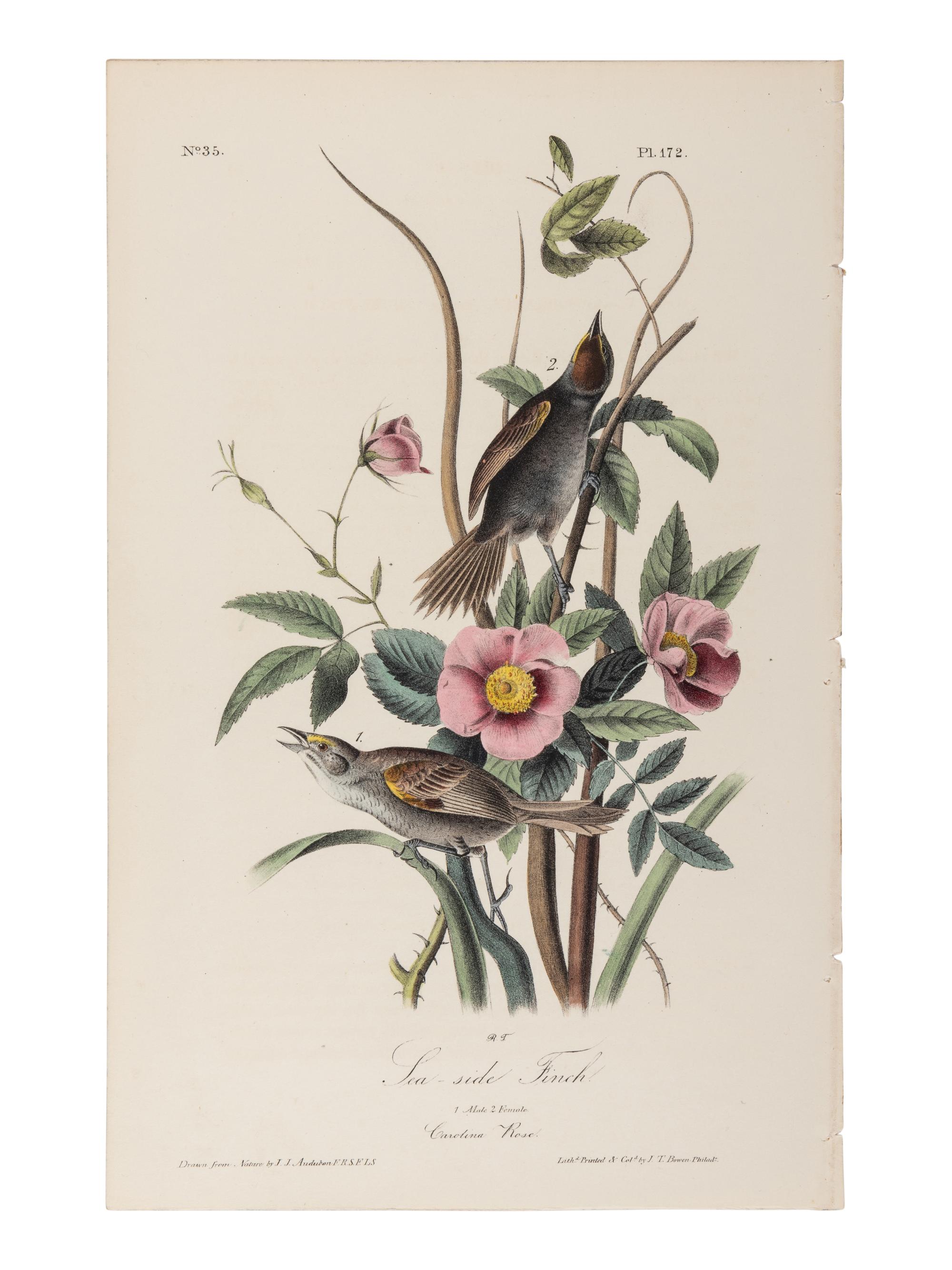 AUDUBON, John James (1785-1851), after. A group of 190 octavo-format lithographs, including: