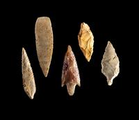 101 Neolithic Flint Points