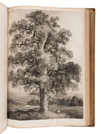 THORNTON, Robert John (1768-1837). The Philosophy of Botany . London: T. Bensley for the publishers, White, Johnson and Co. ...and the author, [1799]-1810.