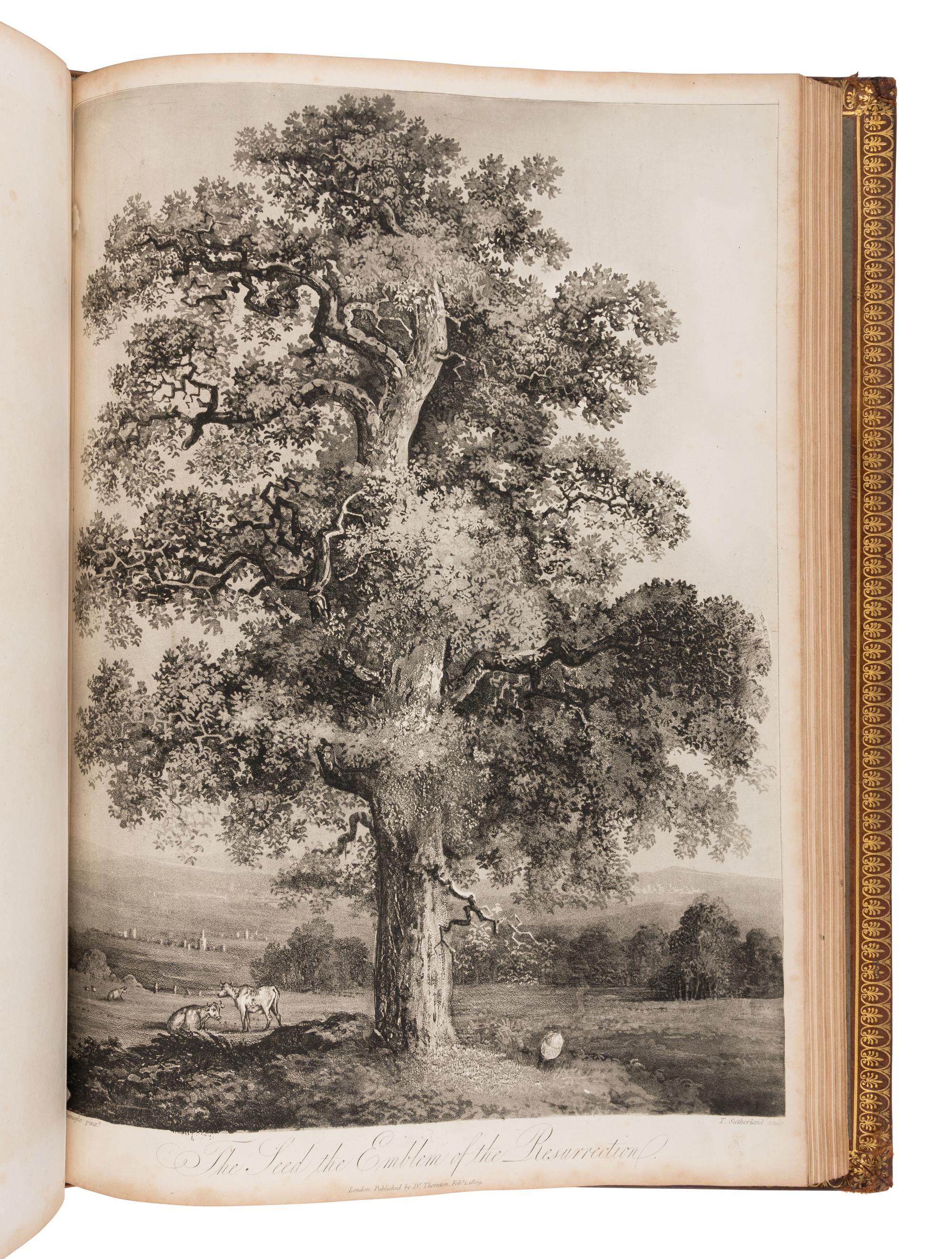 THORNTON, Robert John (1768-1837). The Philosophy of Botany . London: T. Bensley for the publishers, White, Johnson and Co. ...and the author, [1799]-1810.