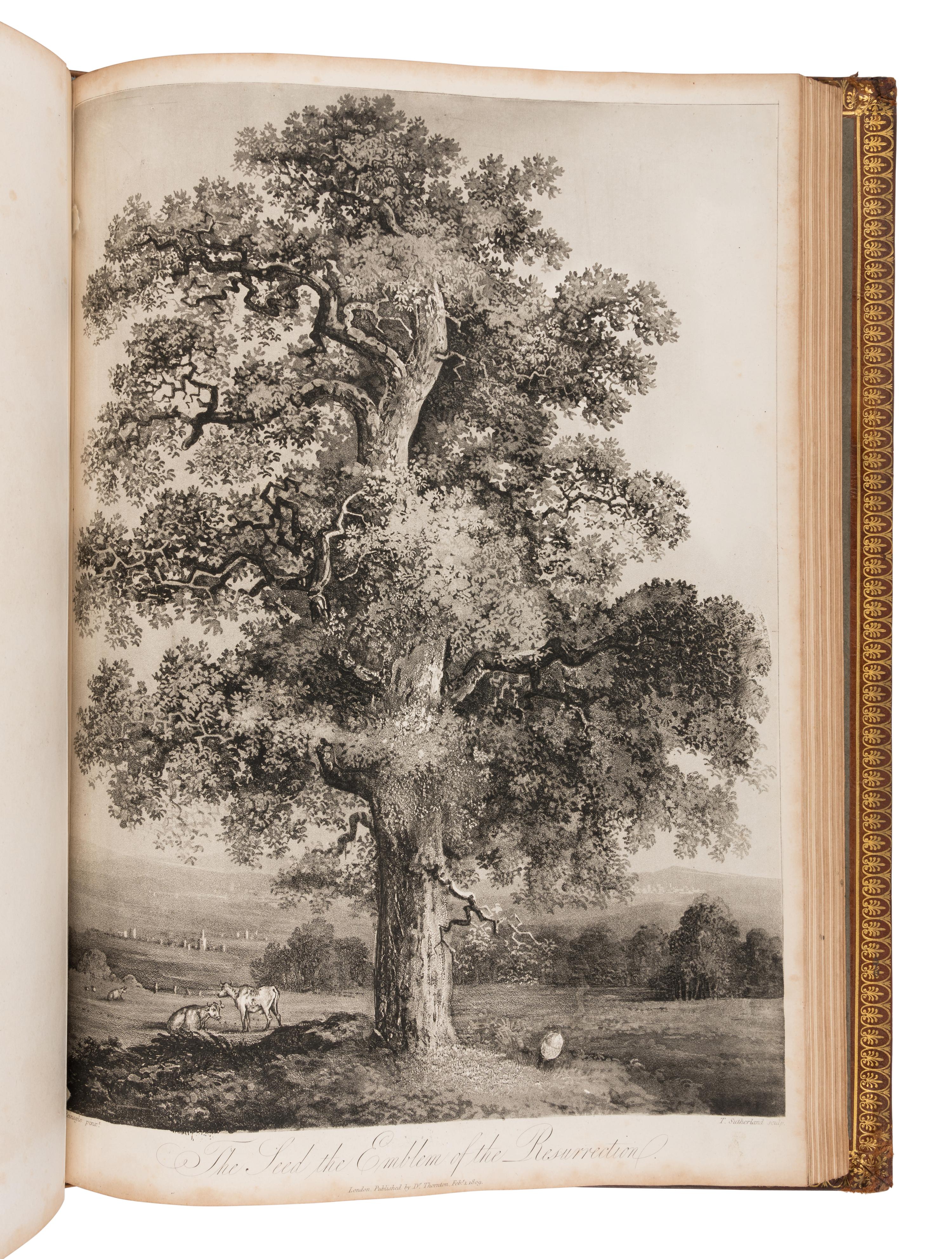 THORNTON, Robert John (1768-1837). The Philosophy of Botany . London: T. Bensley for the publishers, White, Johnson and Co. ...and the author, [1799]-1810.