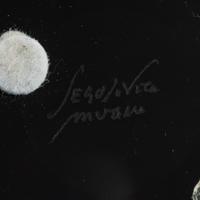 Five Seguso Viro Glass Articles
