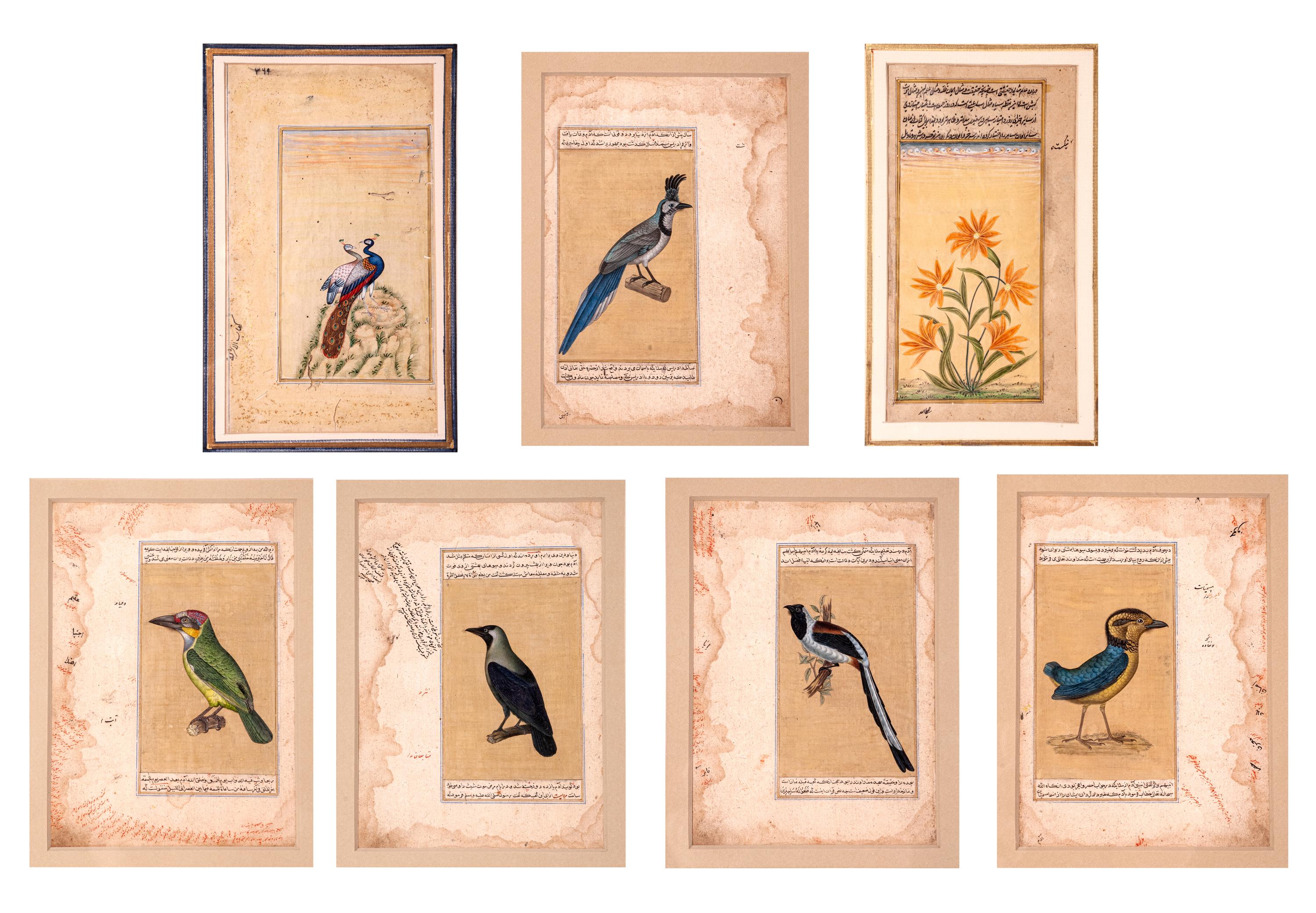 Seven Islamic Paintings