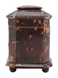 A Georgian Tortoiseshell Tea Caddy