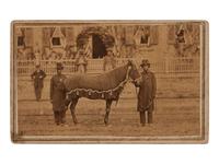 [LINCOLN, Abraham (1860-1865)]. CDV of Lincoln's Horse, "Old Robin" led by African American Reverend Henry Brown at the funeral. Springfield, IL: F.W. Ingmire, [4 May 1865].